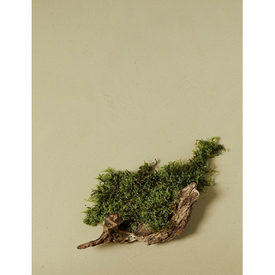 Lehmfarbe nen-do 1,5kg / Siberian Moss